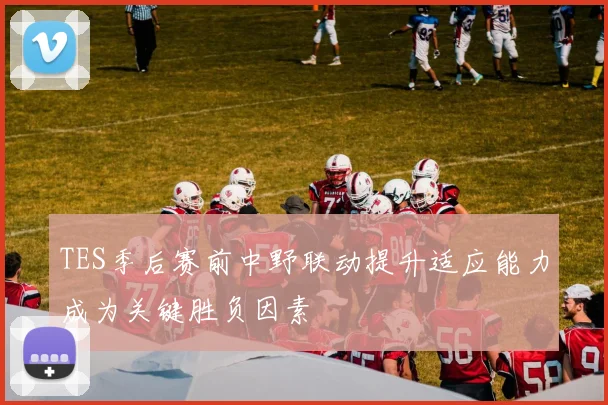 TES季后赛前中野联动提升适应能力成为关键胜负因素